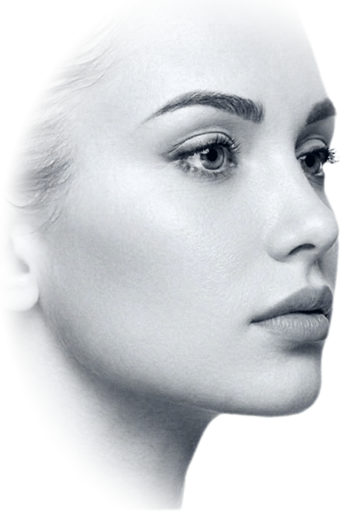 Profil de visage